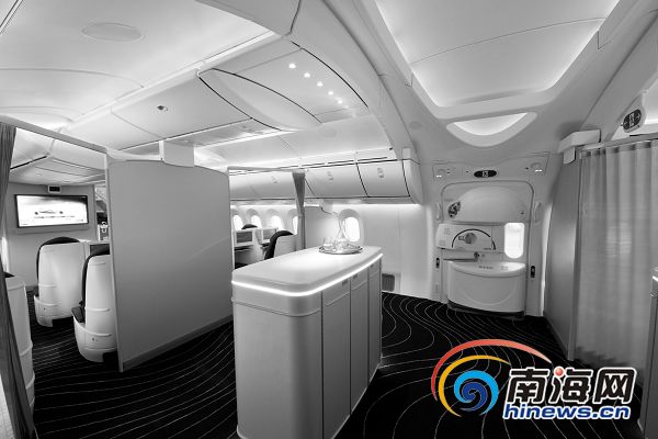 �ܵ��ɂ�(c��)�����˻��Ρ�ˮ�T�����gӭ����787�ĵ�������DƬ���ɱ���(b��o)ӛ�������t�z